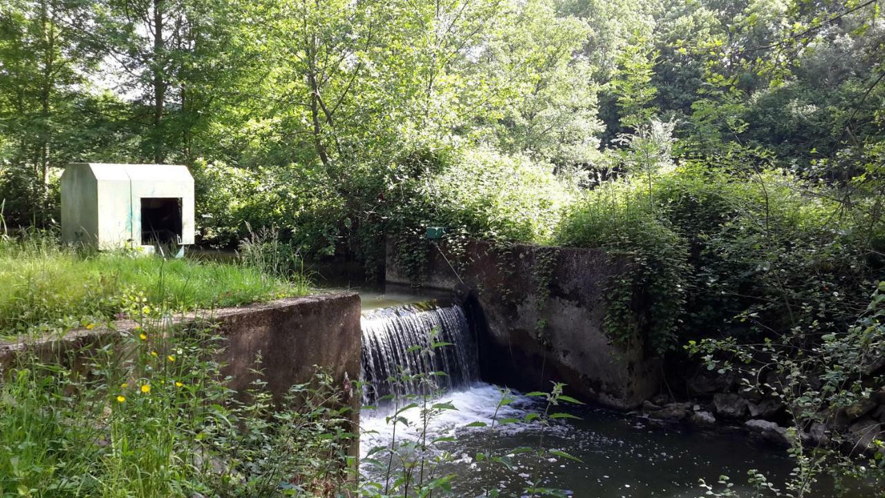 Moulin De Rimer Auvers-le-Hamon Exteriör bild